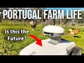 Bienvenue dans la saison 6 de Portugal Farm Life ! 🌿 Test du robot tondeuse FR4000 !