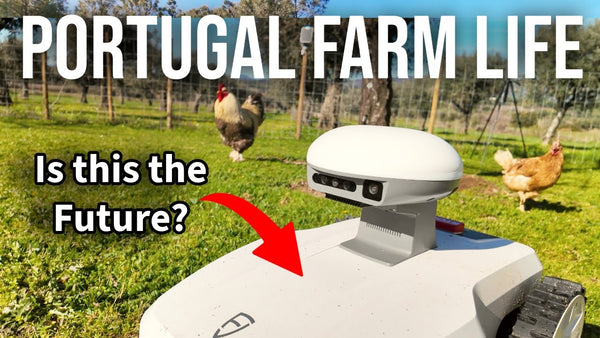 Bienvenue dans la saison 6 de Portugal Farm Life ! 🌿 Test du robot tondeuse FR4000 ! 
